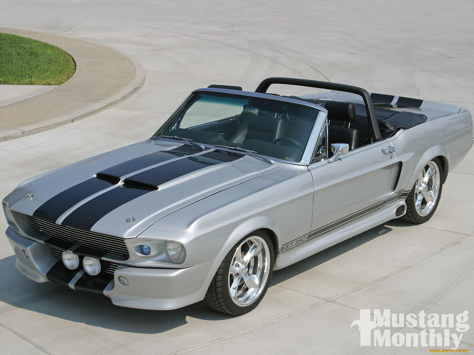 , mustang
